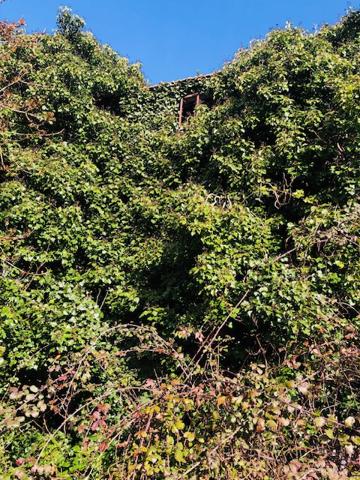 Belle opportunité....