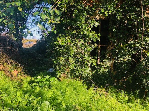 Belle opportunité....