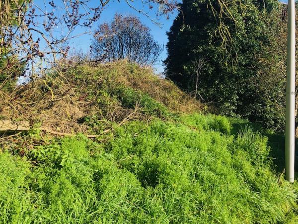 Belle opportunité....