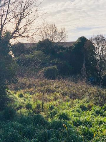 Belle opportunité....