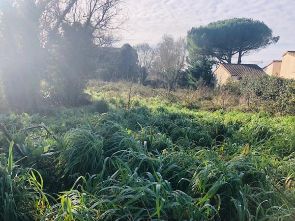 Belle opportunité....