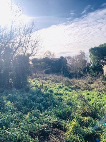 Belle opportunité....