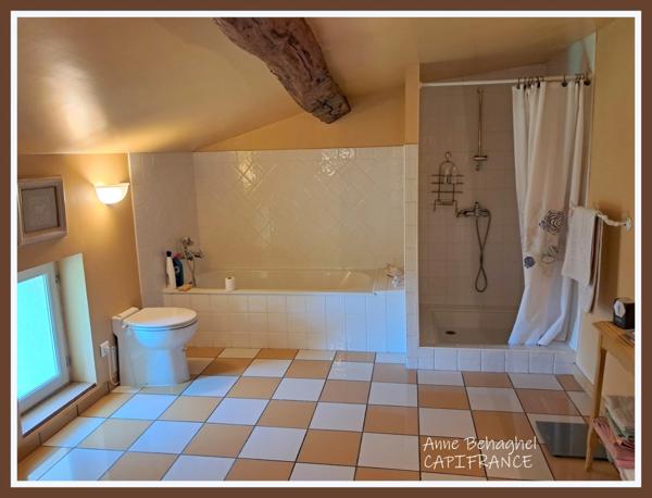 Maison de campagne en pierre à vendre- Terrain 1ha