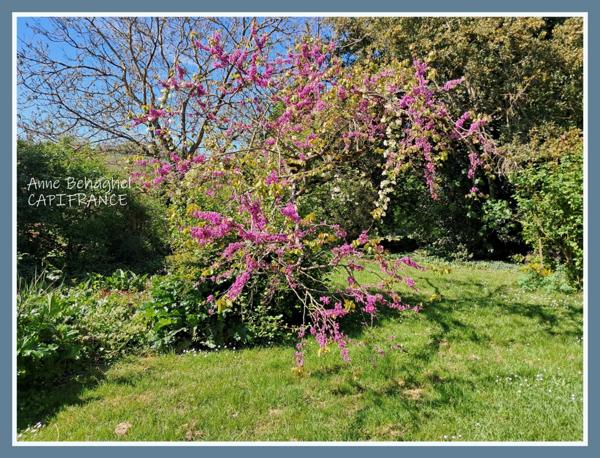 Maison de campagne en pierre à vendre- Terrain 1ha