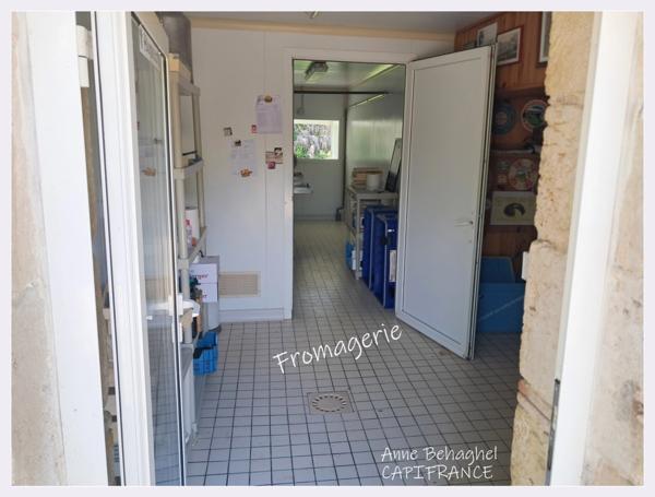 Maison de campagne en pierre à vendre- Terrain 1ha