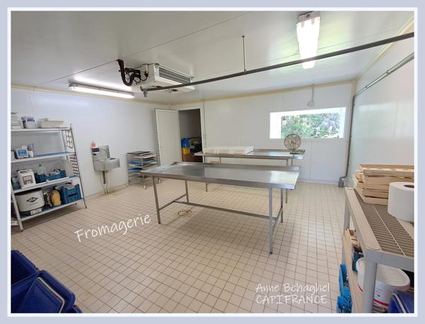 Maison de campagne en pierre à vendre- Terrain 1ha