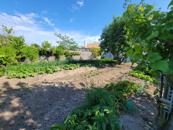 BEAUVOIR SUR MER (85) entre CHALLANS et NOIRMOUTIER proche centre ville Maison 120 m² hab + 90 m² , 3 chs, 2 WC , 2 SDE, terrain clos de 800 m² avec puits , garage