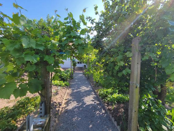 BEAUVOIR SUR MER (85) entre CHALLANS et NOIRMOUTIER proche centre ville Maison 120 m² hab + 90 m² , 3 chs, 2 WC , 2 SDE, terrain clos de 800 m² avec puits , garage