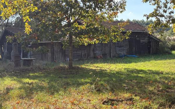 Maison à vendre    5 pièces •  Mimizan