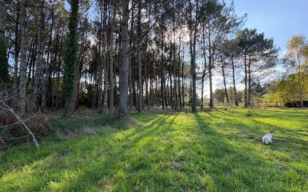 Maison à vendre    5 pièces •  Mimizan