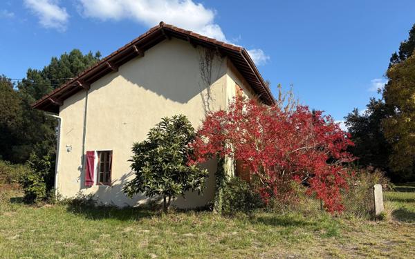 Maison à vendre    5 pièces •  Mimizan