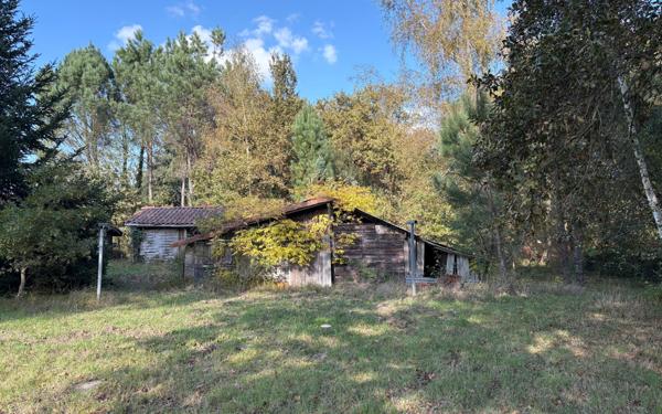 Maison à vendre    5 pièces •  Mimizan