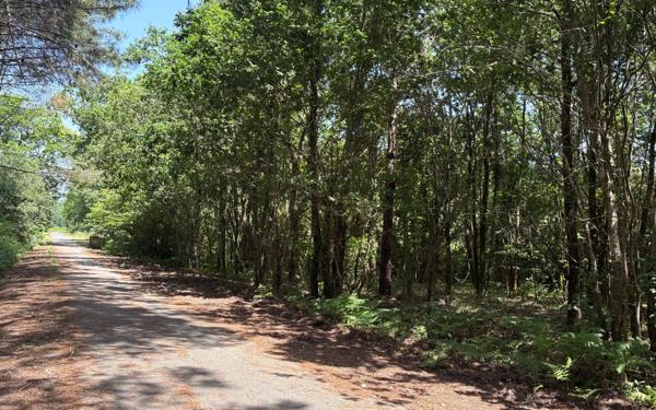 Maison à vendre    5 pièces •  Mimizan