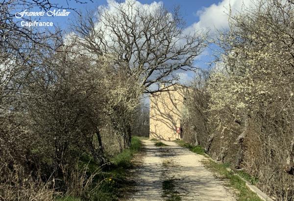 A proximité de Banon, belle Maison d'Hôtes de 268 m2 (+130 m2) en pleine campagne