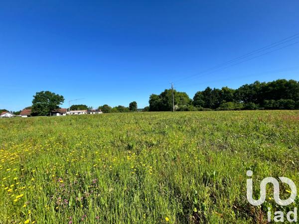 Terrain à vendre 3 649 m² Sault-de-Navailles