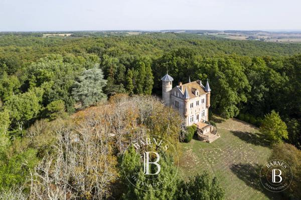 Mauvezin, Château 6 Chambres -  303 m² à vendre