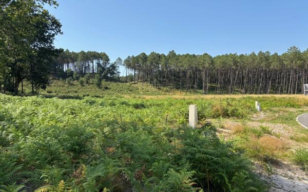 Terrain à vendre    Vielle-Saint-Girons