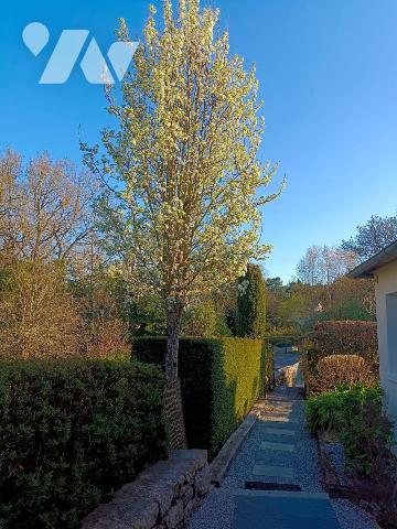 Vente Maison à Saint-Philibert