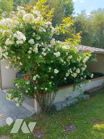 Vente Maison à Saint-Philibert