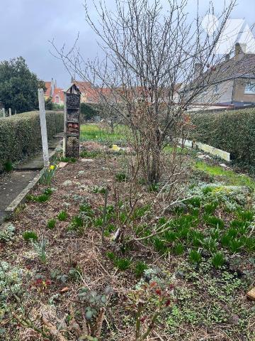 Nouveauté en exclusivité sur OUTREAU (Pas-de-Calais 62) maison à vendre
