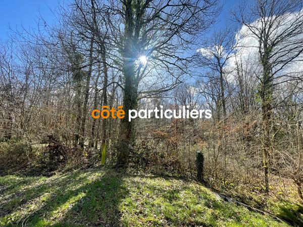 Vente Terrain21866 m² - MARCAIS (18170)