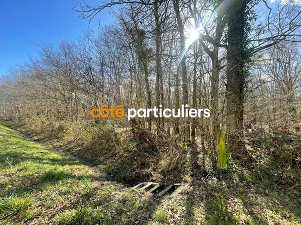 Vente Terrain21866 m² - MARCAIS (18170)
