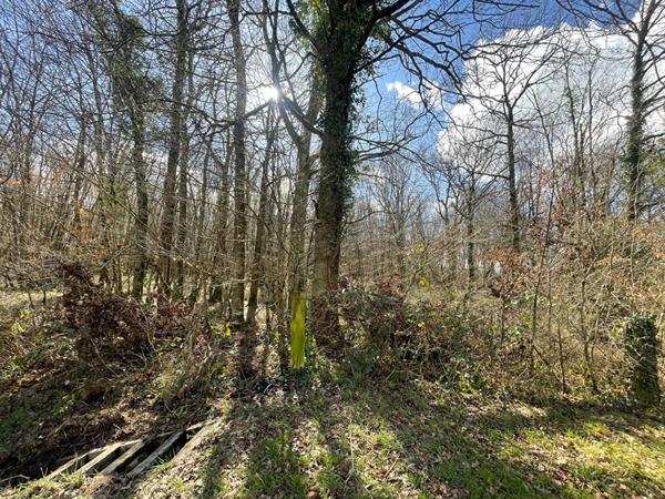 Vente Terrain21866 m² - MARCAIS (18170)