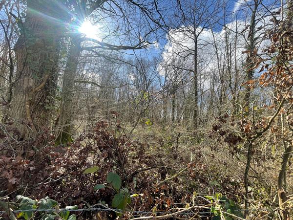 Vente Terrain21866 m² - MARCAIS (18170)