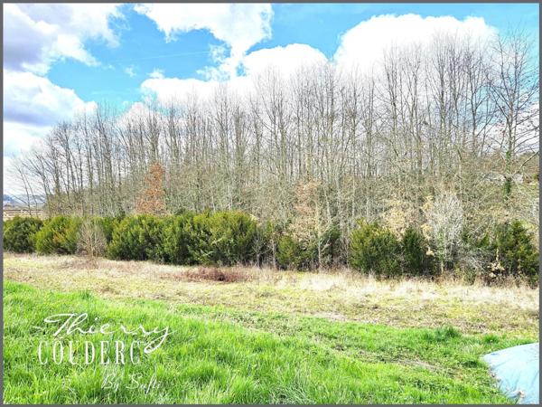 Beau terrain boisé de 5675 m².