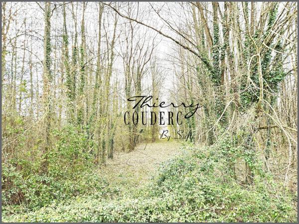 Beau terrain boisé de 5675 m².