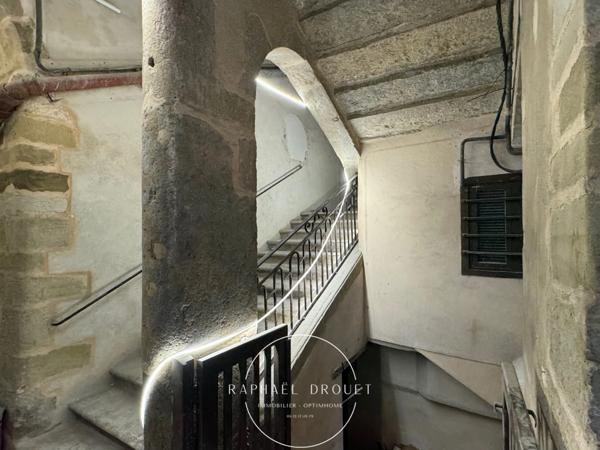 VIENNE – CENTRE-VILLE – T3 EN PLATEAU BRUT – LE CHARME DE L’ANCIEN A NEUF