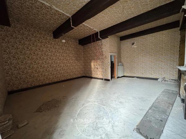 VIENNE – CENTRE-VILLE – T3 EN PLATEAU BRUT – LE CHARME DE L’ANCIEN A NEUF