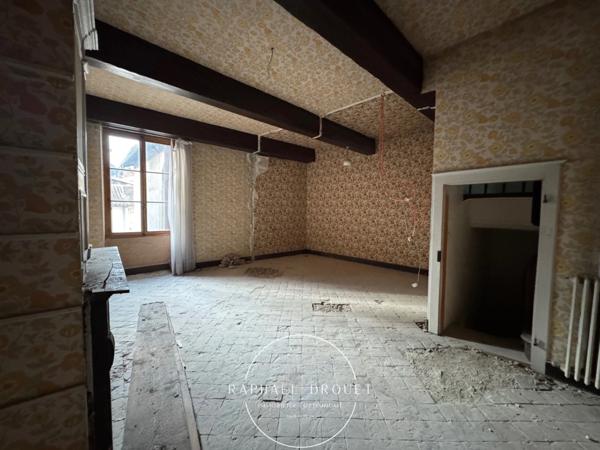 VIENNE – CENTRE-VILLE – T3 EN PLATEAU BRUT – LE CHARME DE L’ANCIEN A NEUF