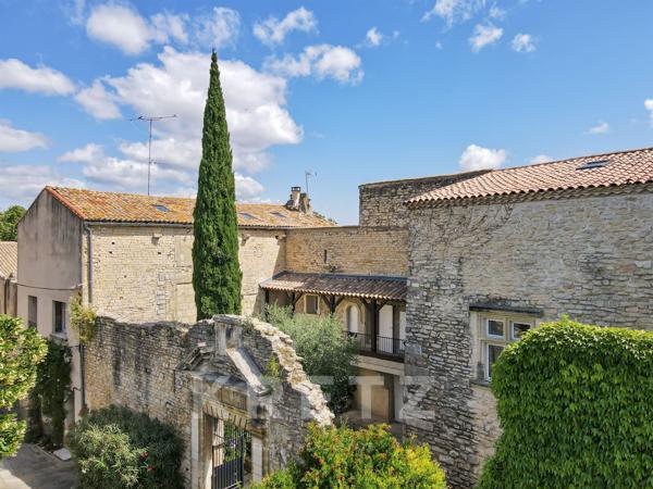 Ancien chateau du XIe siècle avec jardin au coeur du village