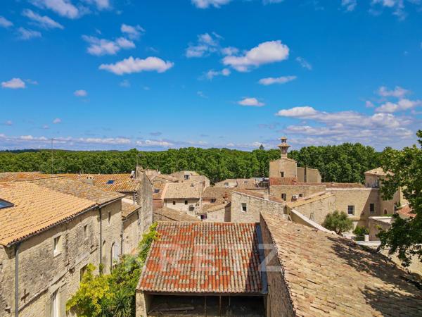 Ancien chateau du XIe siècle avec jardin au coeur du village