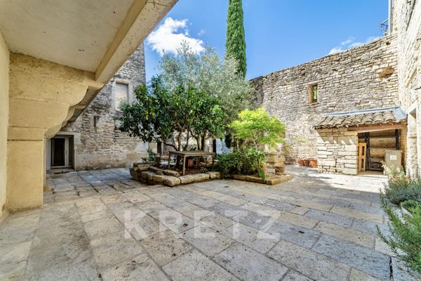 Ancien chateau du XIe siècle avec jardin au coeur du village
