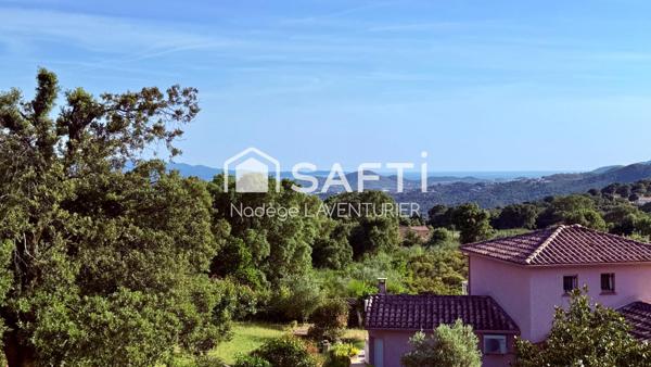 Villa T5 avec piscine - terrain de 3300m² - Sarrola
