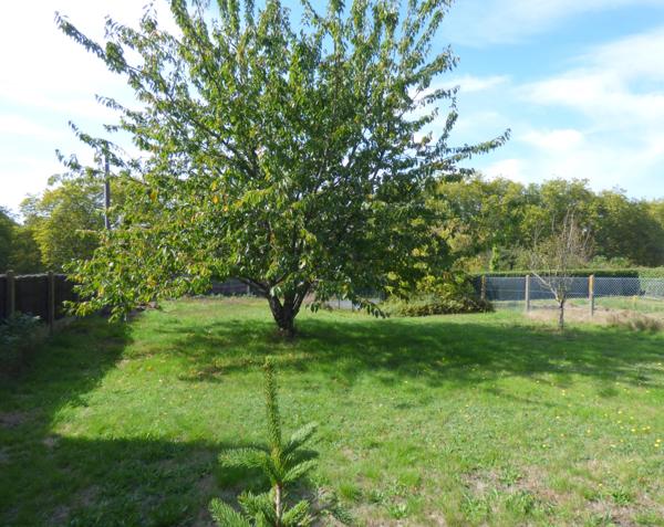 Terrain à vendre de 446 m² REDON (35)