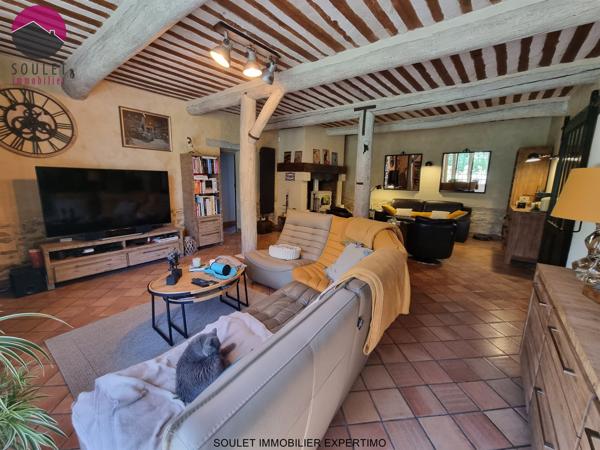L'Isle-sur-la-Sorgue (84800) ***SOUS OFFRE***Superbes volumes pour ce Mas de 8 chambres