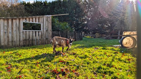 Bédée (35137) Longère 6 pièces - 185.5m²