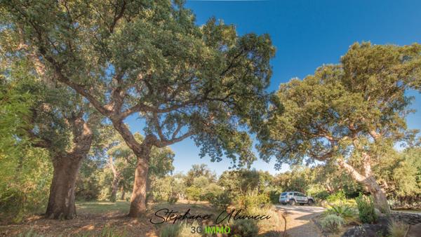 Vente / Maison d'architecte