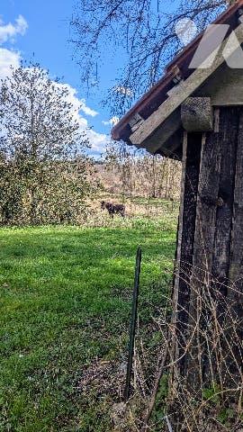 A LANGEAIS - SECTEUR LA ROUCHOUSE - UNE MAISON TRADITIONNELLE DE PLAIN PIED