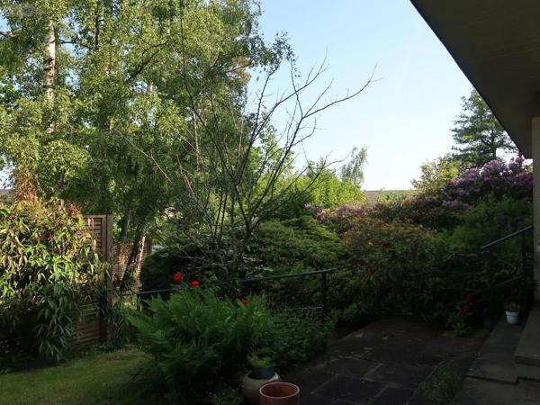 Location - Maison Pacé 35740 6 pièces 150 m 2 3300 m 2