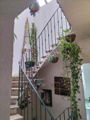 Maison de ville ,centre ville