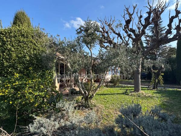 Maison de plain-pied à SAINT REMY DE PROVENCE