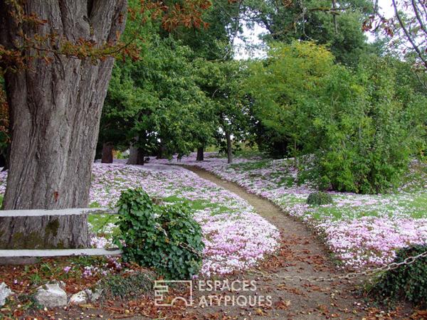 La propriété aux cyclamens