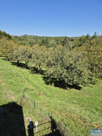 PROPRIETE ISOLEE DE 2,25 HA de 150 m² + gîte + dépendances