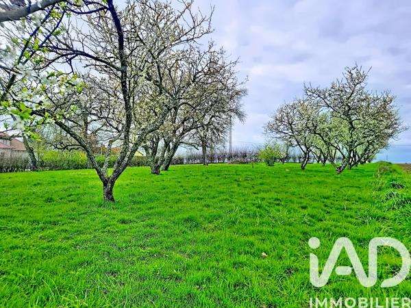 Terrain à vendre 1 658 m² Jouaville