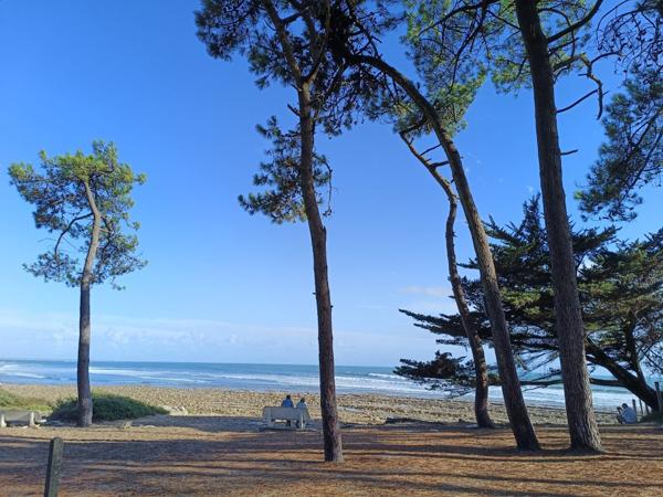 Appartement Jard Sur Mer 2 pièces 37.11 m2