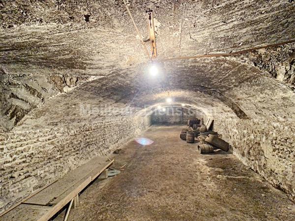 Maison bourgeoise avec grandes dépendances et caves